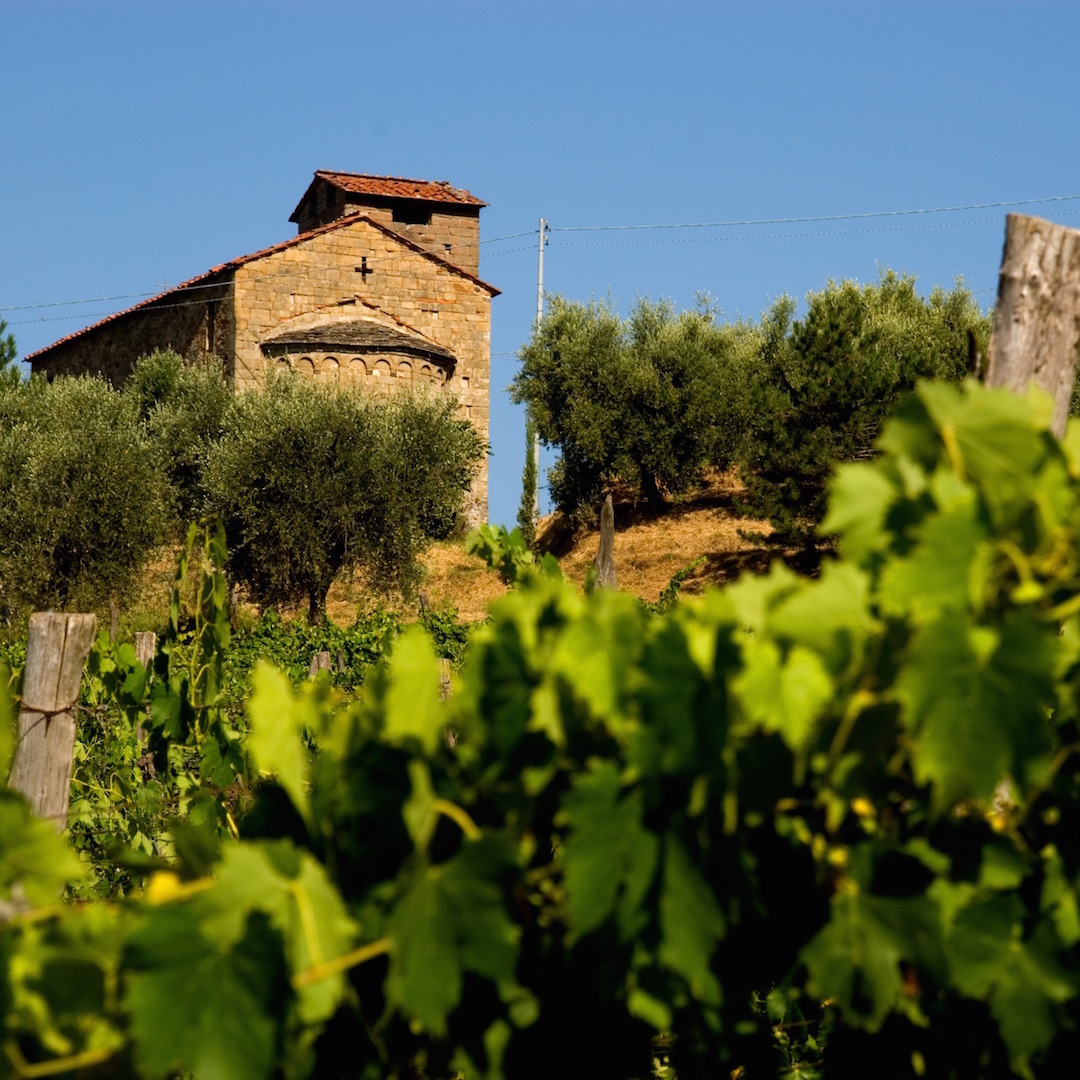 pieve di san Quirico in Petroio, sulle colline lucchesi