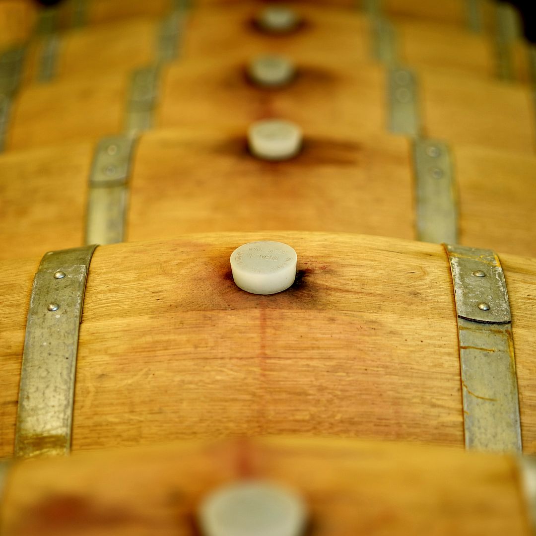 Montecarlo, barrels in a wine cellar JOBDVStudio