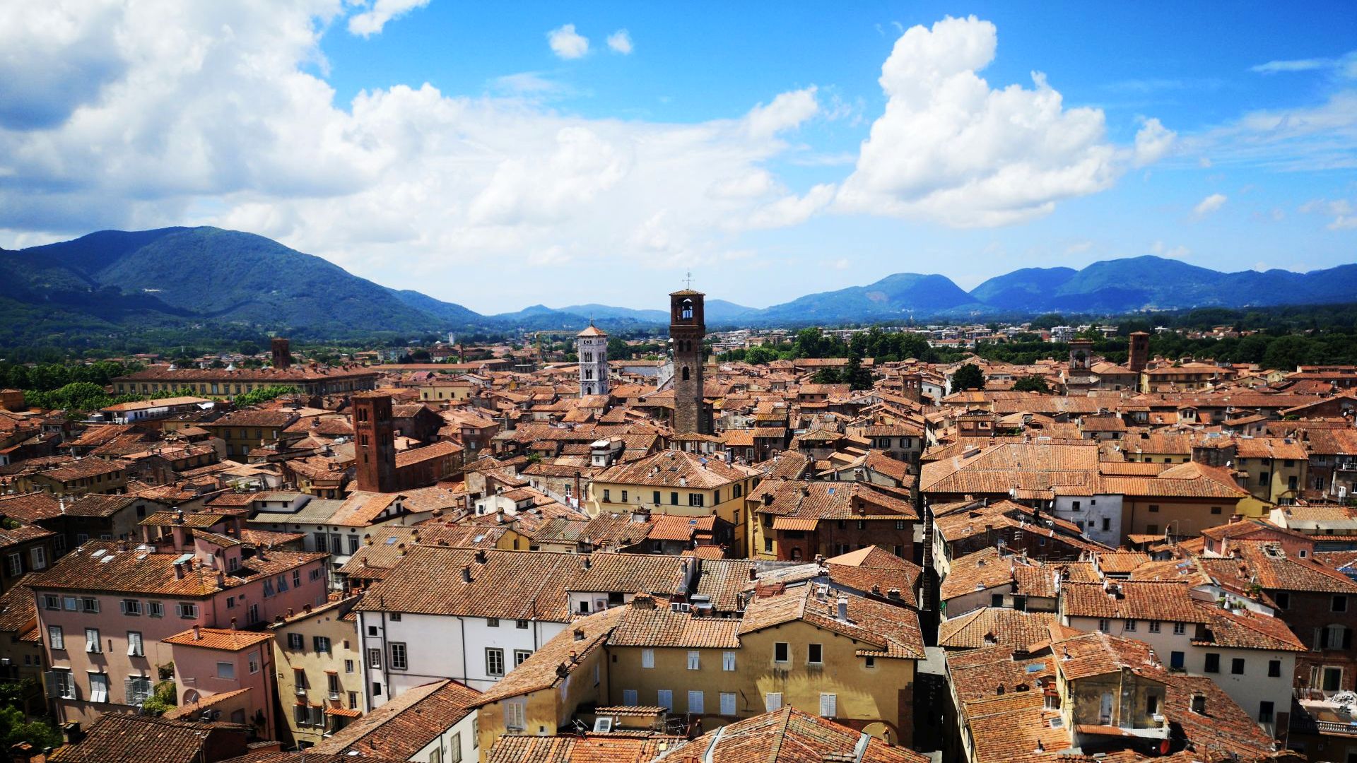 Panorama from the Guinigi tower of Lucca