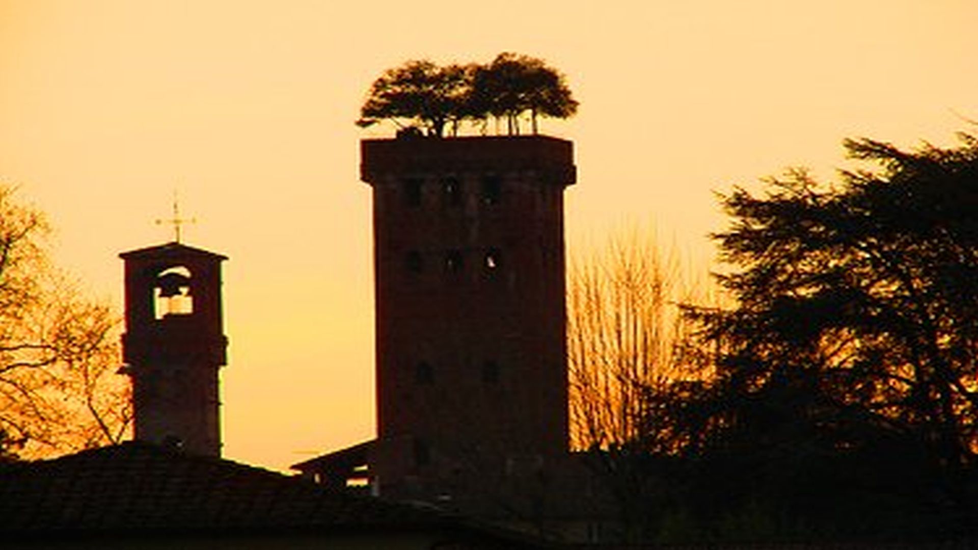 Profil des Guinigi-Turms und der Uhrturm in Lucca