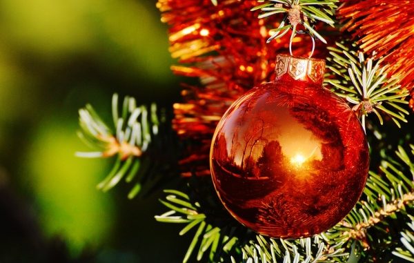 christmas decoration on a christmas tree in lucca