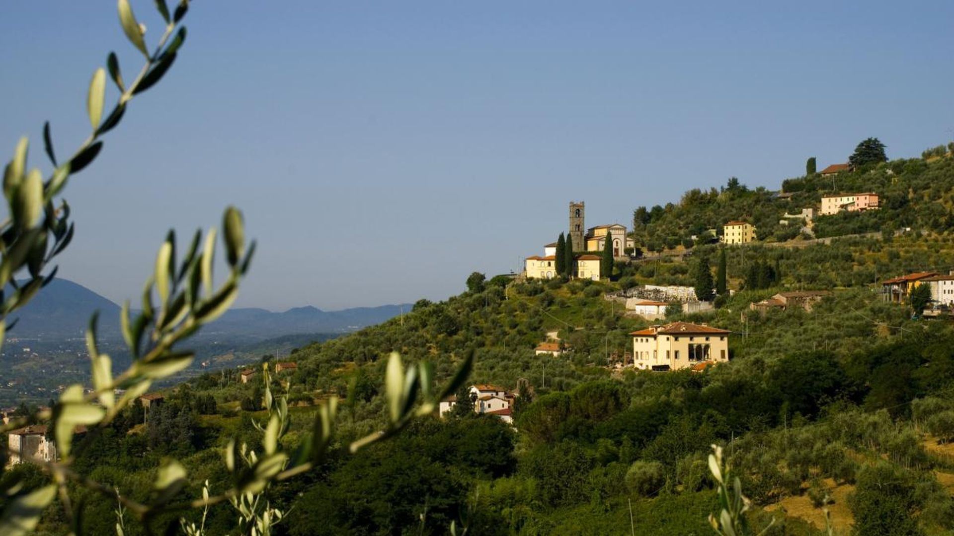 The hills around Lucca