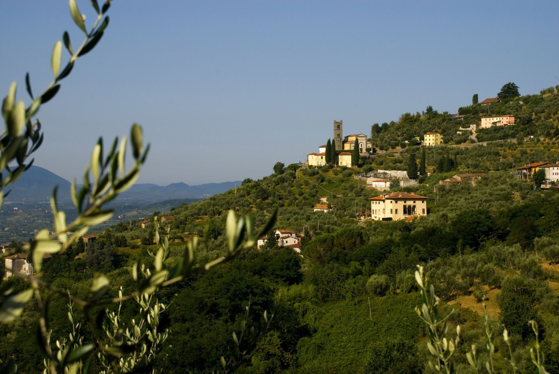 colline lucchesi