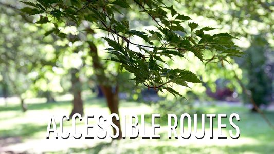 button accessible routes