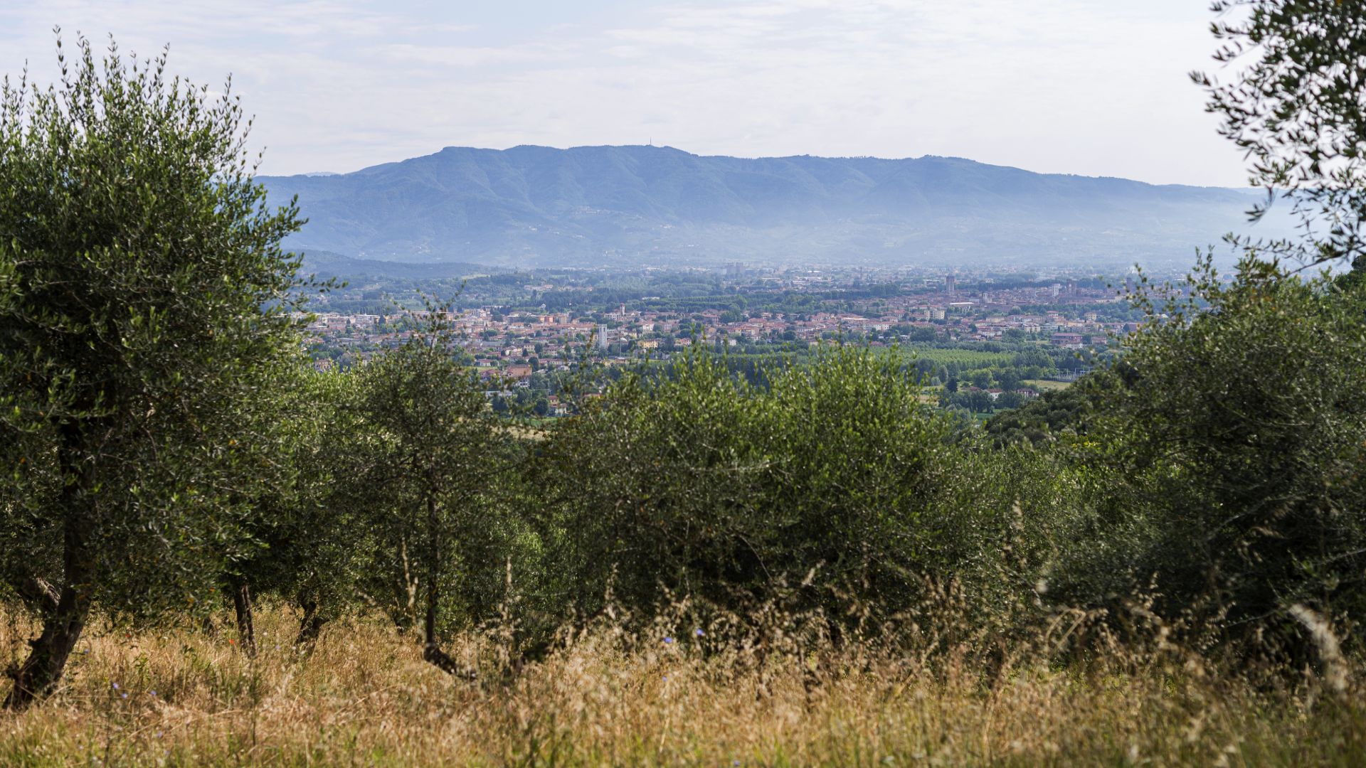 panorama della Piana di Lucca dall'altopiano delle Pizzorne