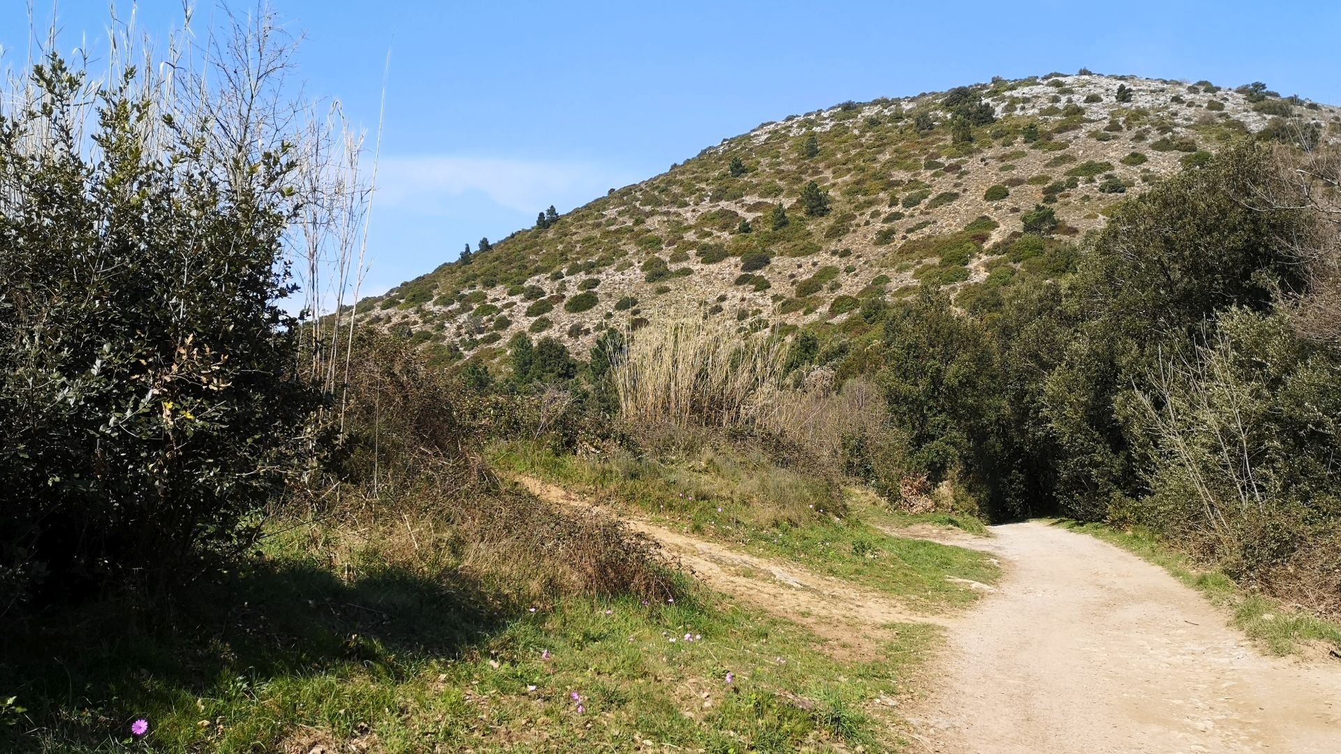 pas de Dante sur le Monte Pisano