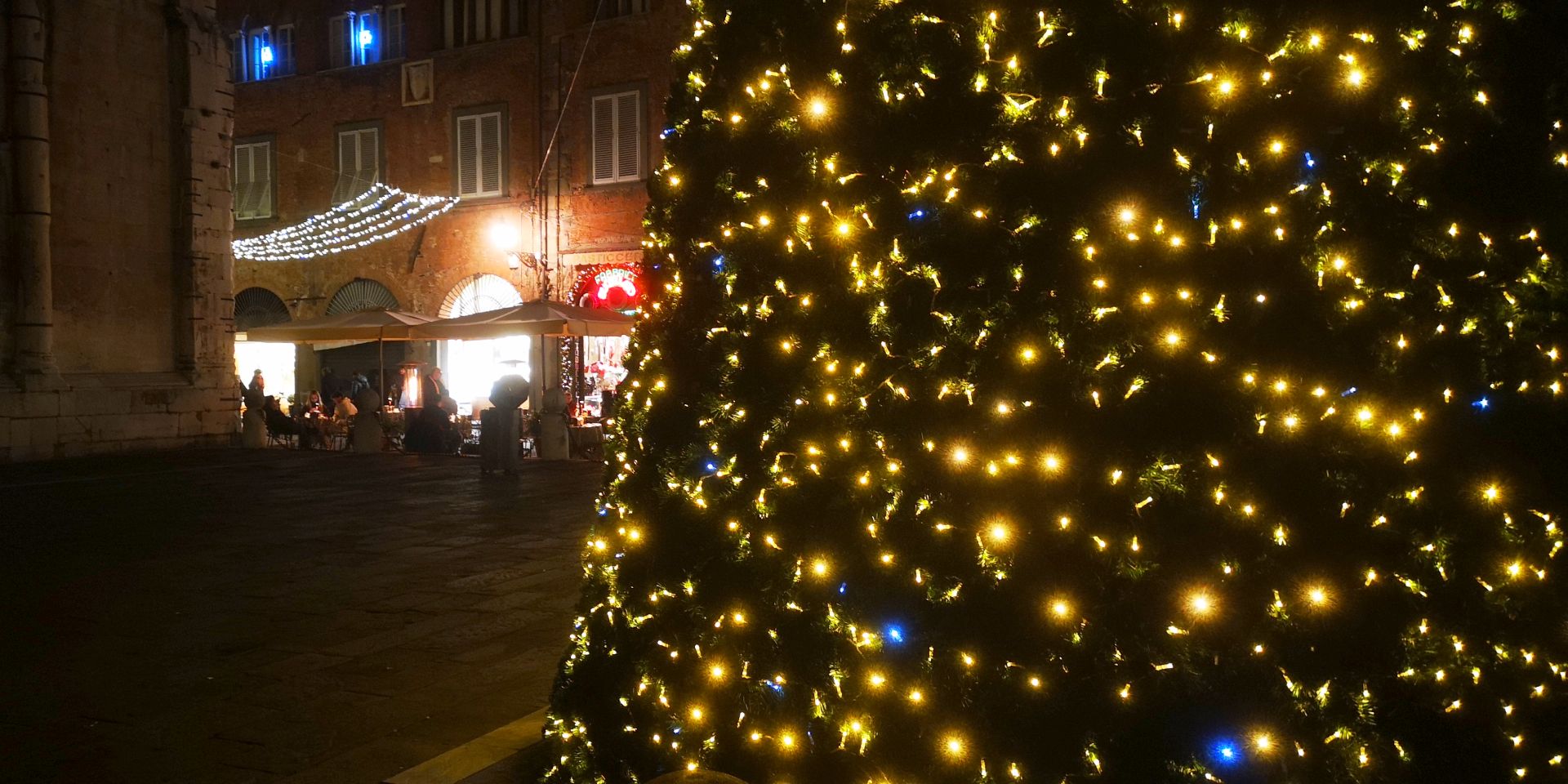  le sapin de Noël de la place Saint-Michel