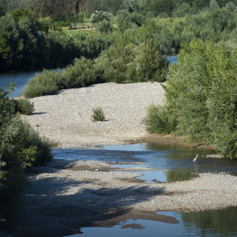 fiume serchio