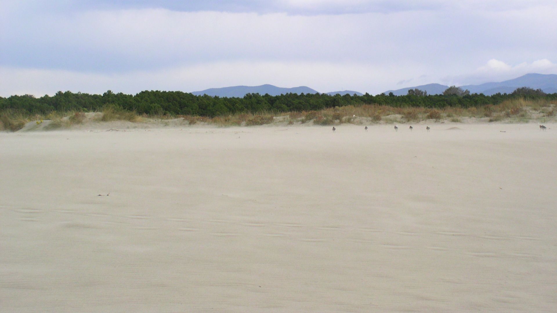 dune della versilia