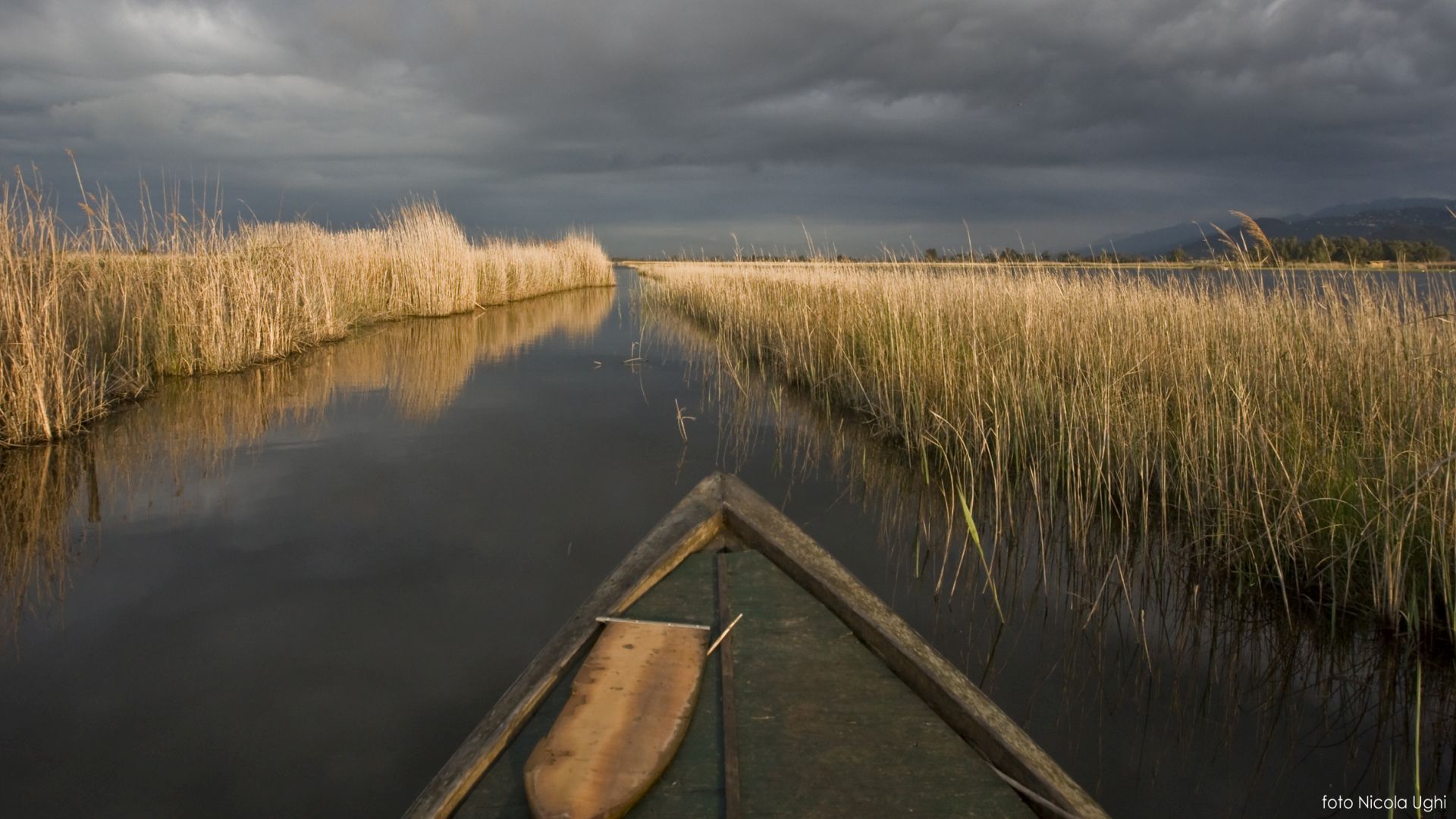 gita tra i canali sul lago di Massaciuccoli