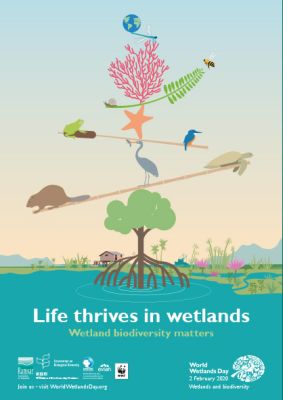 World wetlands day poster 2020