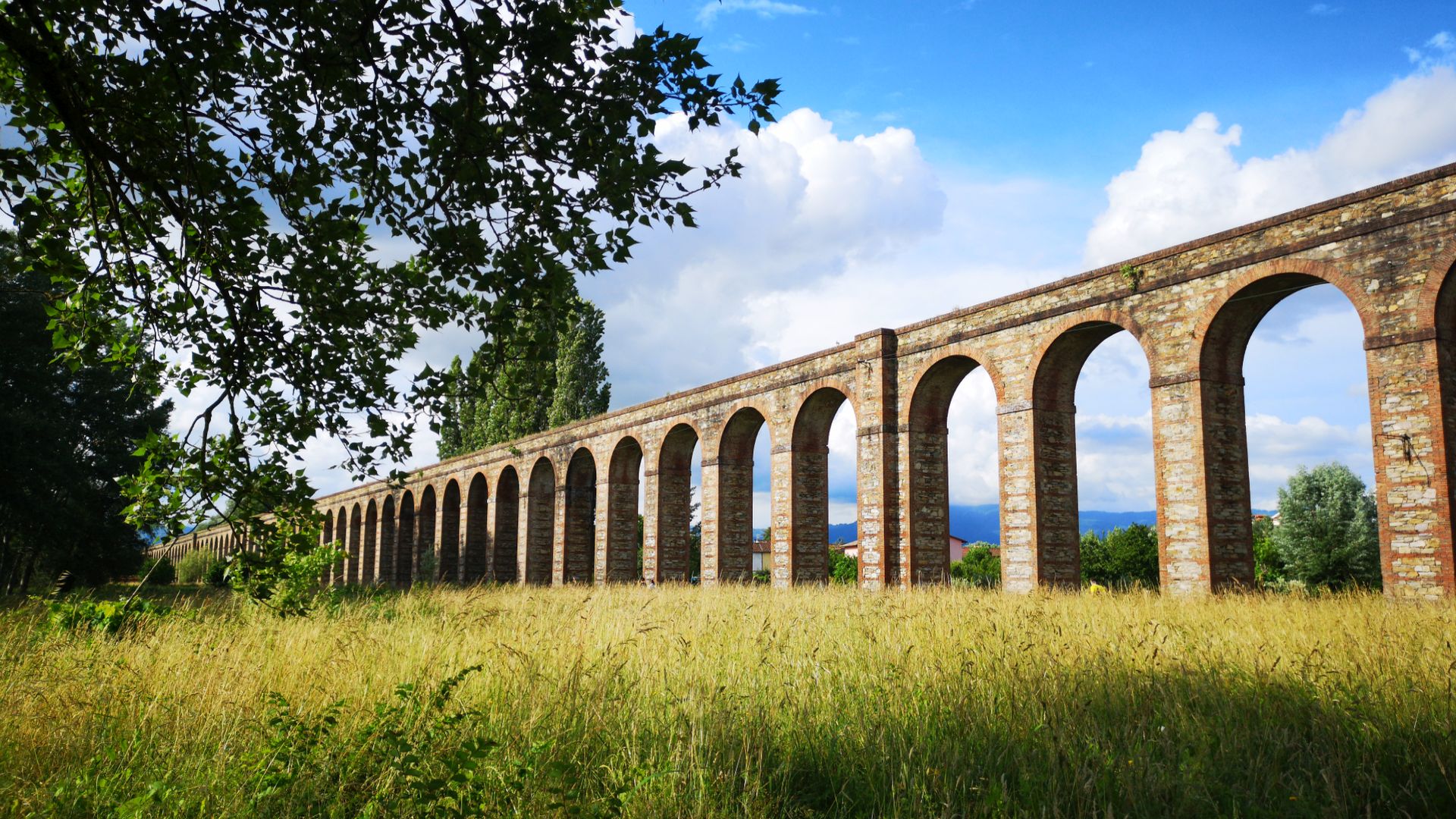 acquedotto del Nottolini nella campagna lucchese