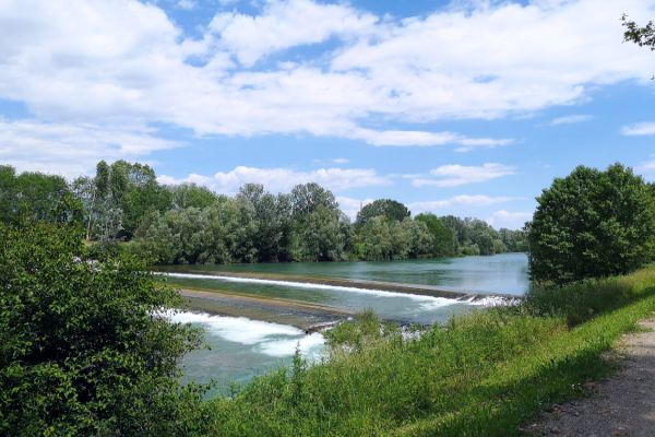 parco fluviale del fiume serchio a lucca