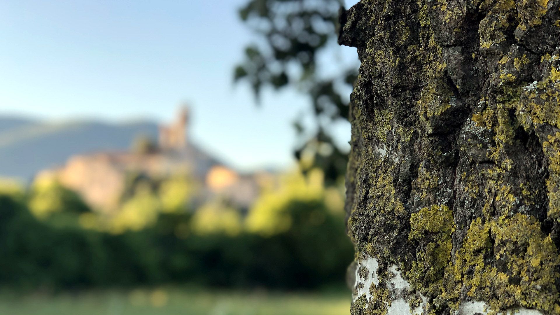 Itinera romanica + panorama de Nozzano