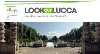 look at lucca banner