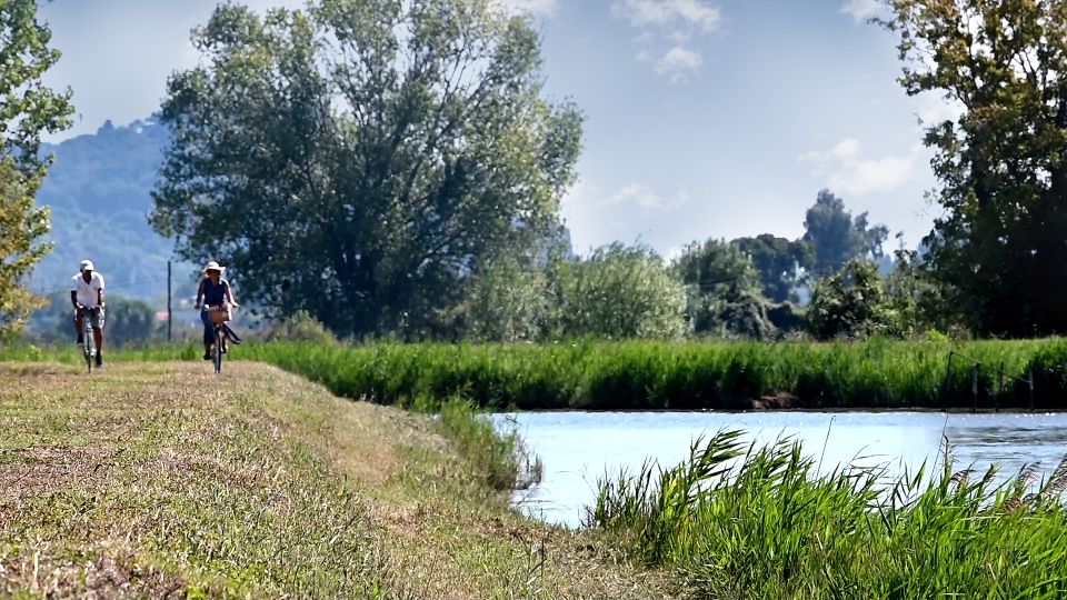 segnaletica a terra pista ciclabile