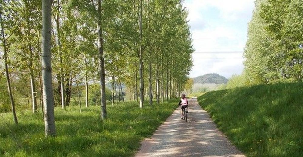 Radfahrer auf dem Puccini-Radweg am Serchio-Fluss in der Ebene von Lucca