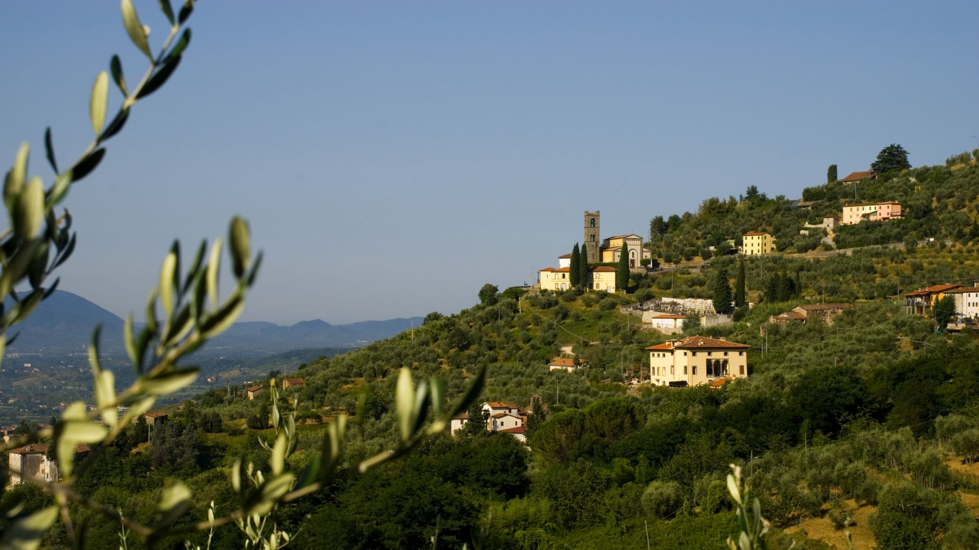 colline lucchesi nei pressi del paese di Tofori