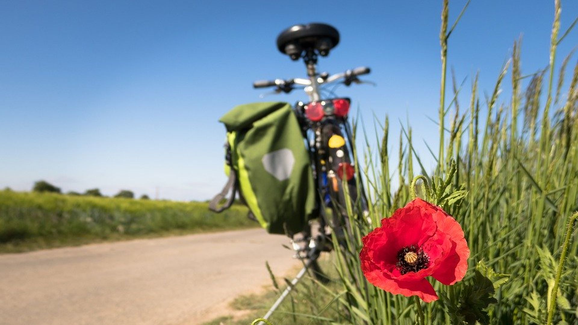 tratto di via Francigena in mezzo ai campi