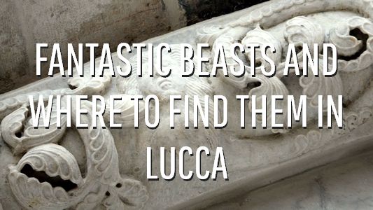 button to itinerary fantastic animals and where to find them in Lucca