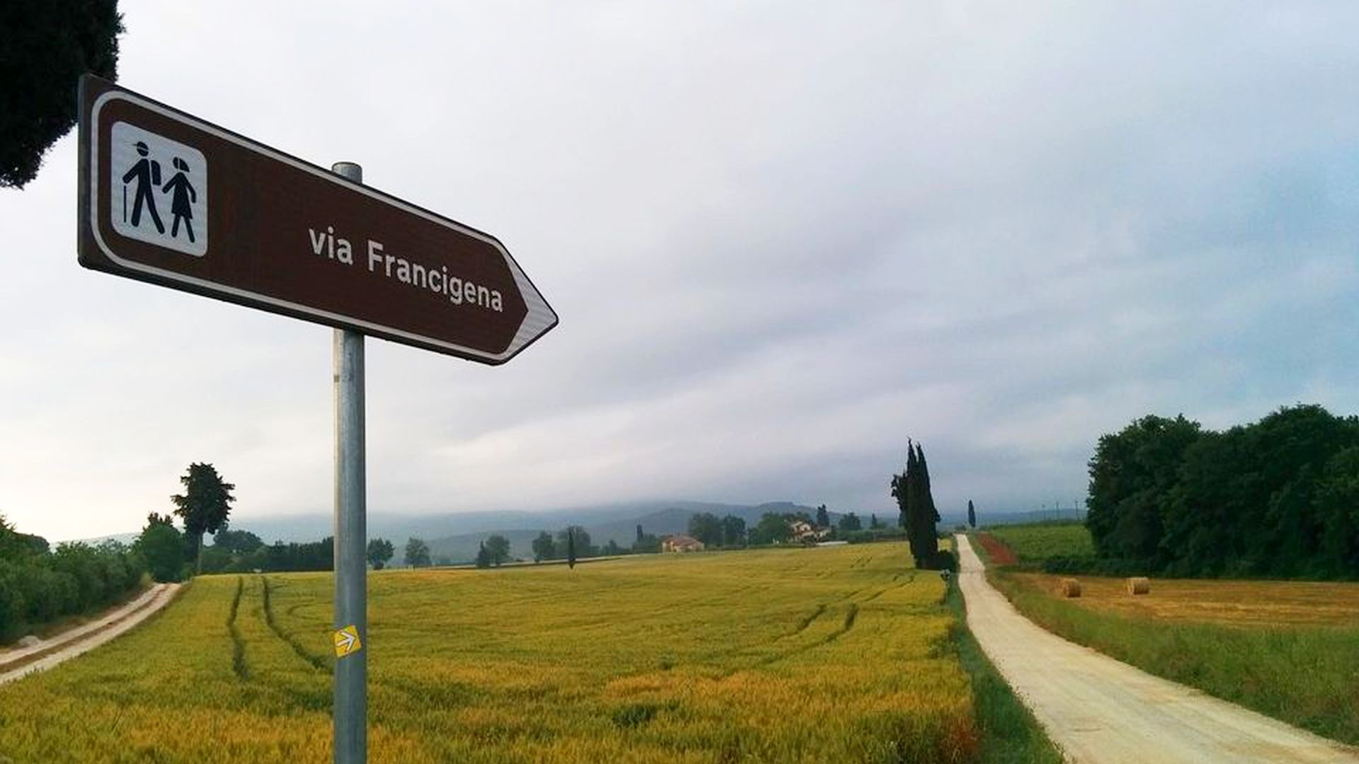 tratto di via Francigena in mezzo ai campi