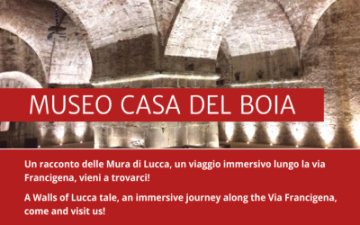 logo francigena entry point
