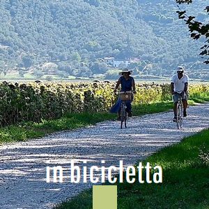 un anno di sport in bicicletta