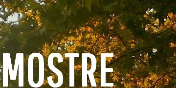 mostre a lucca ottobre 2023