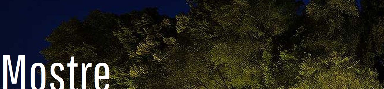 eventi dell'arte e mostre a Lucca in agosto 2025
