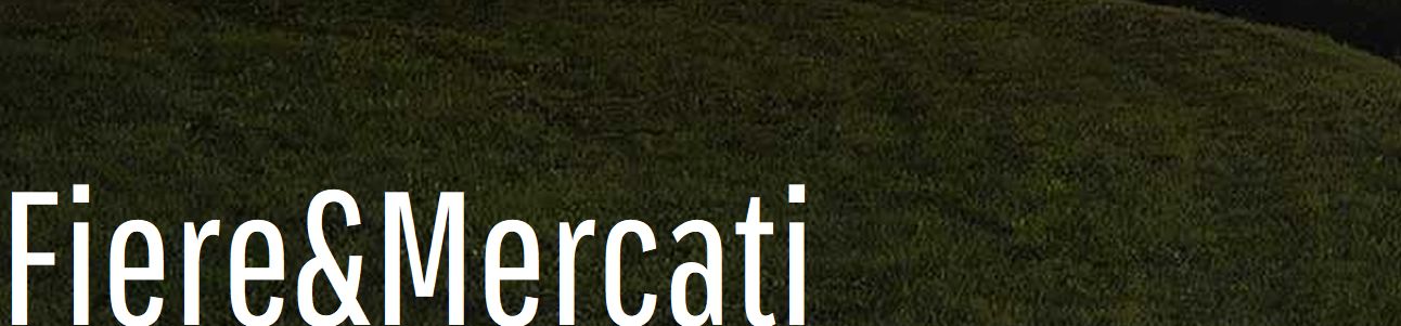 fiere e mercati a Lucca in agosto 2025