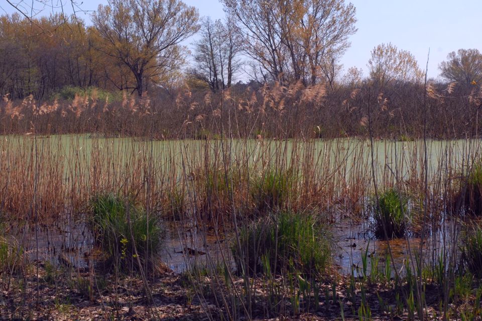 riserva naturale oasi di sibolla