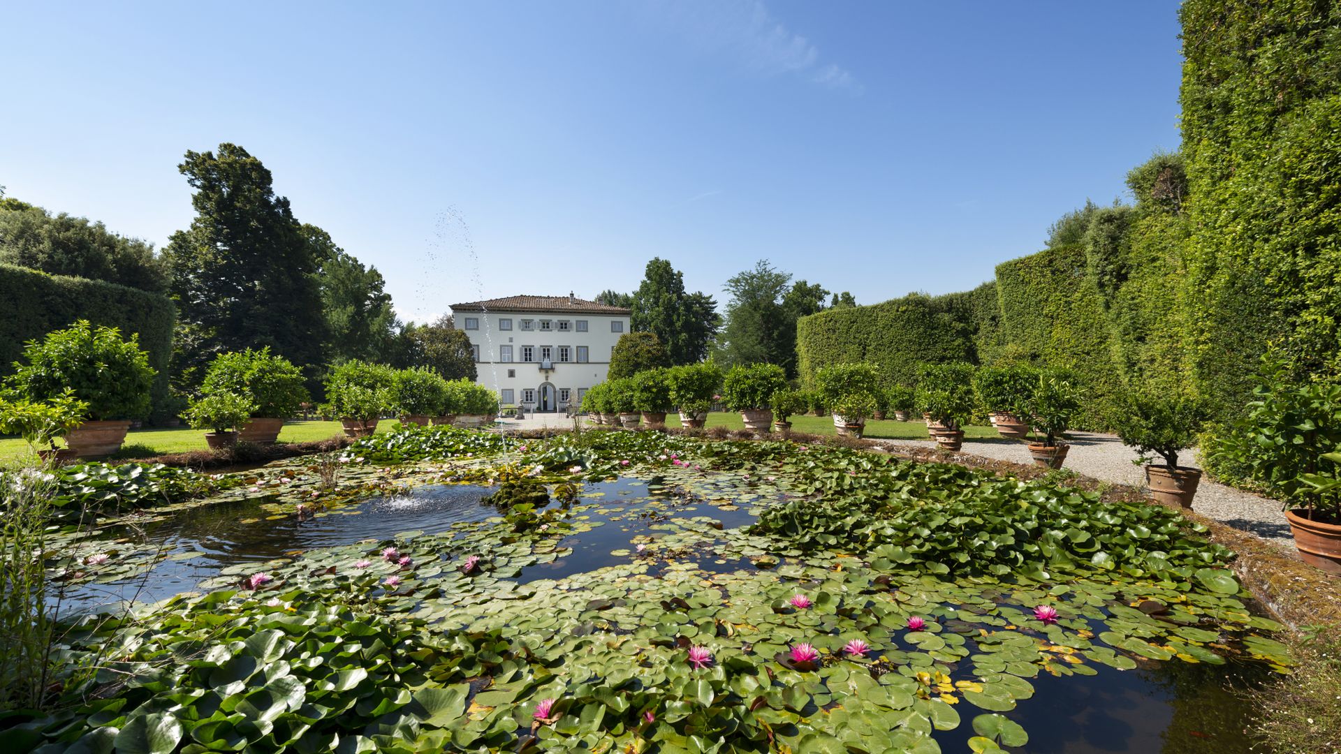 jardín de Villa Grabau con nenúfares