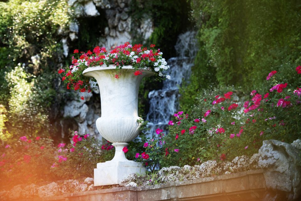 pots of geraniums at villa reale of marlia - jobdv