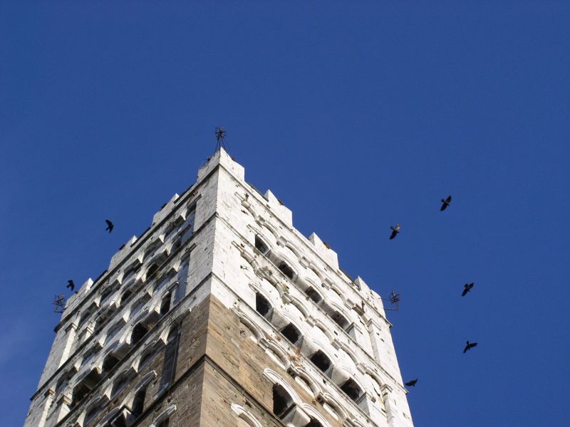 campanile della cattedrale di san Martino di Lucca