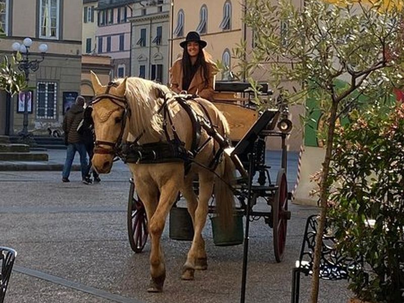 lucca in a carriage