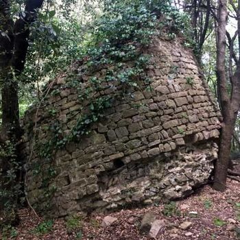 castelpasserino dans le bois de Lucca
