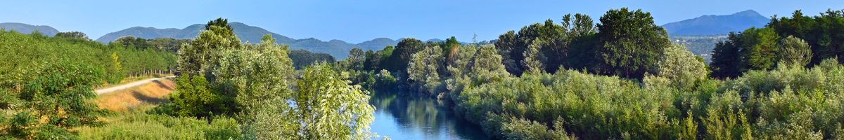 The serchio river park in lucca