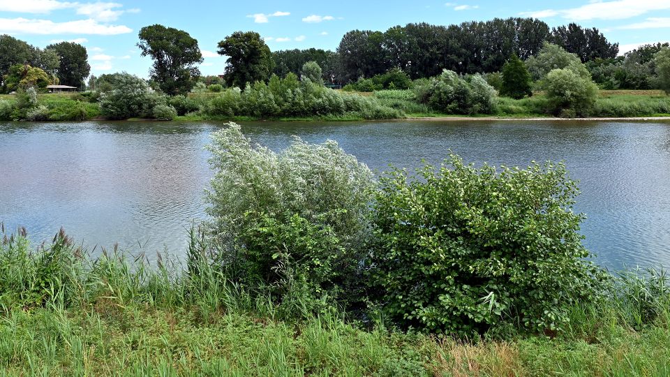 river park in lucca