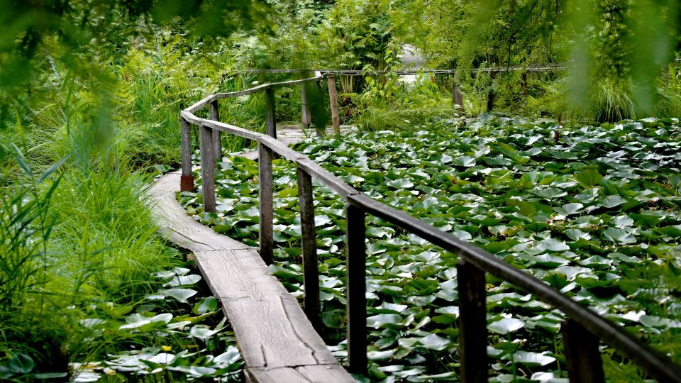 Estanque del Jardín Botánico: Hauchnebelkabinet para la WLM2019