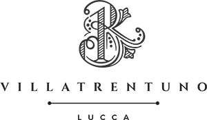 logo villatrentuno