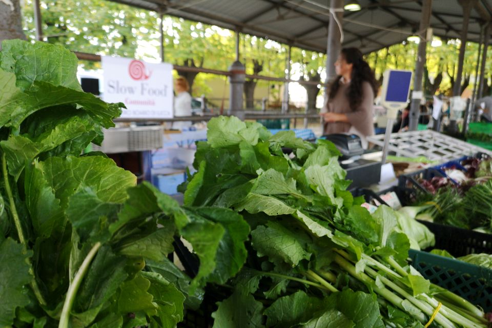 farmers market at the foro boario in lucca