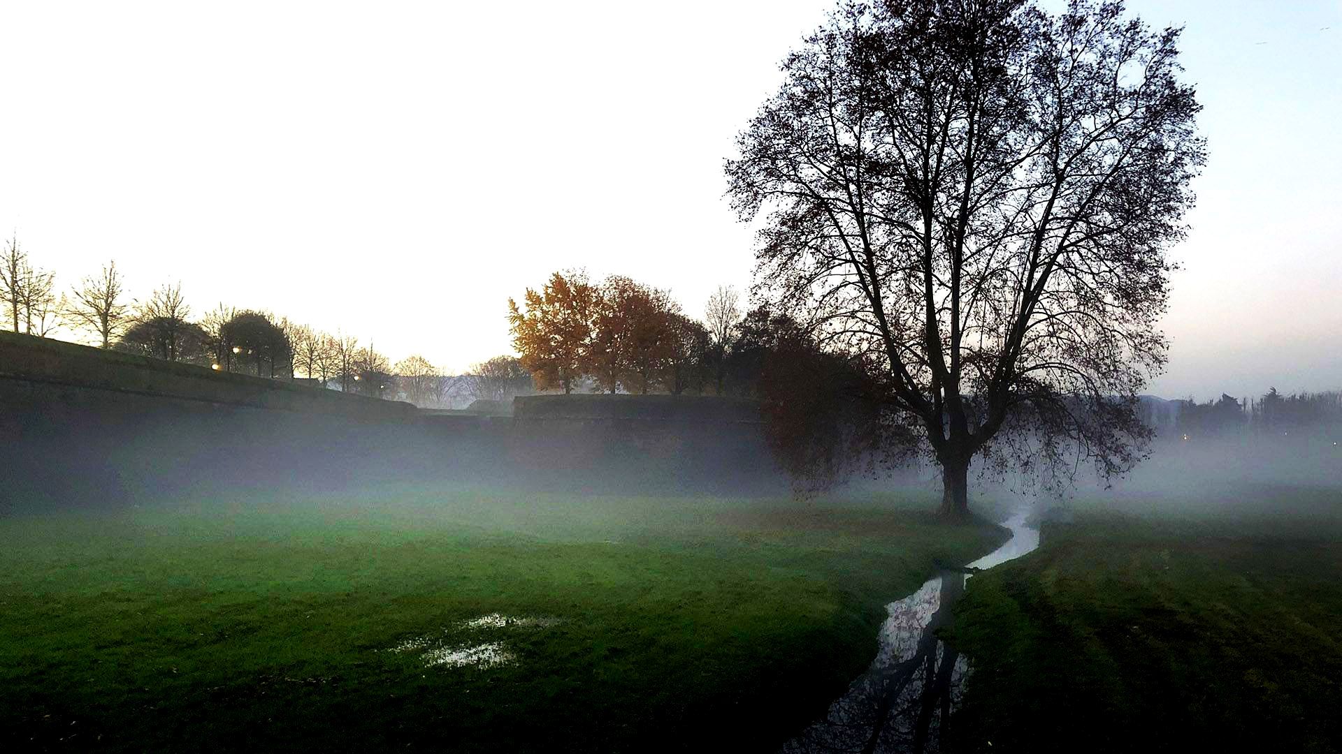 the walls of Lucca in the morning mist