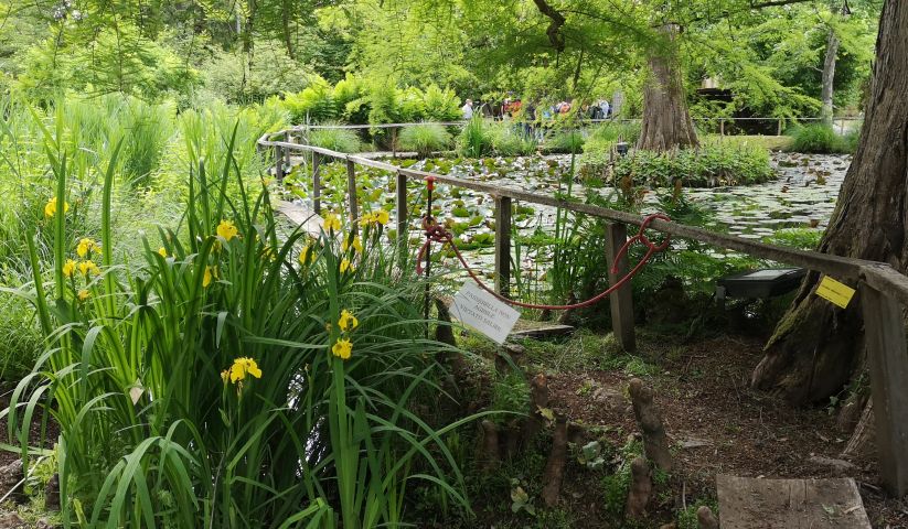  little lake of the botanical garden of lucca - turismo.lucca.it 