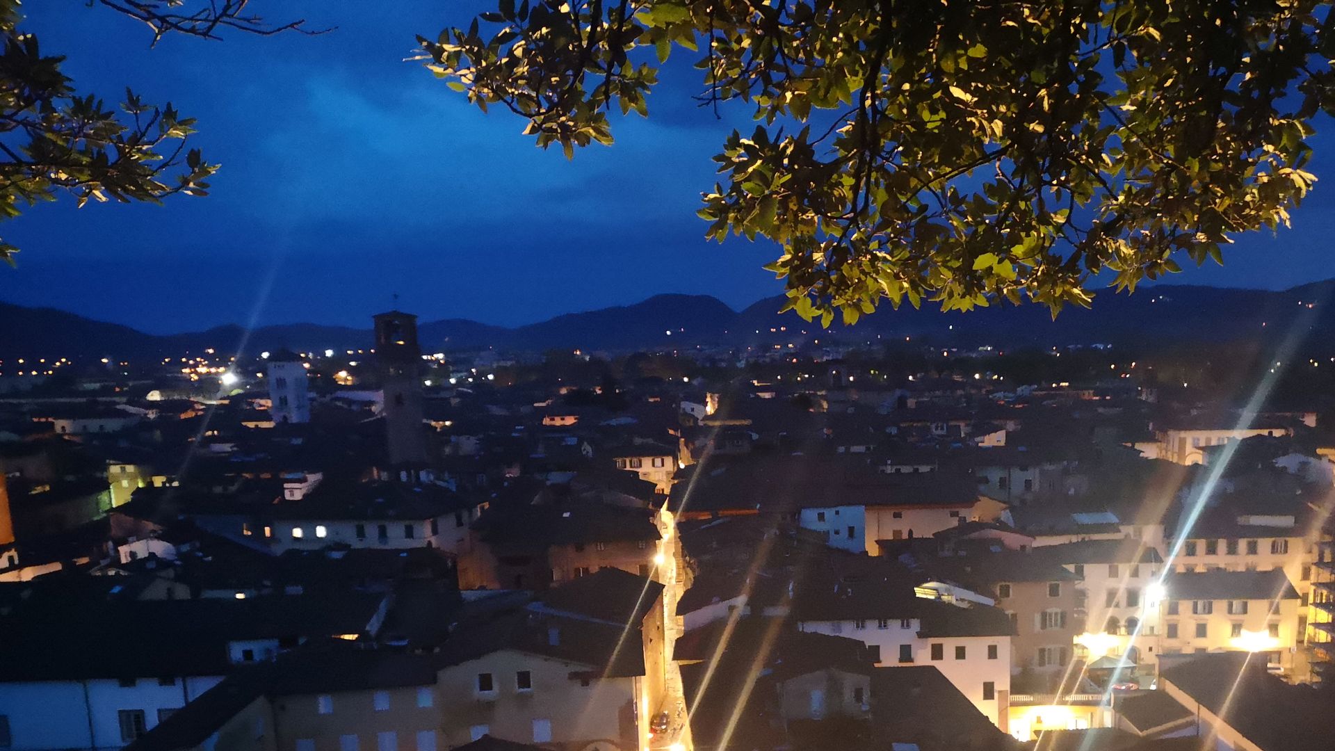 panorama of lucca at night from the guinigi tower