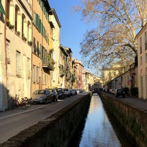 luccatrek - paysages du chemin de Saint-Jacques 1