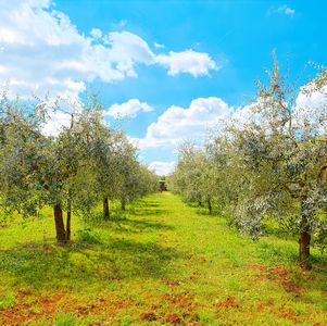 lucca trek - paesaggi del cammino di san Jacopo 2