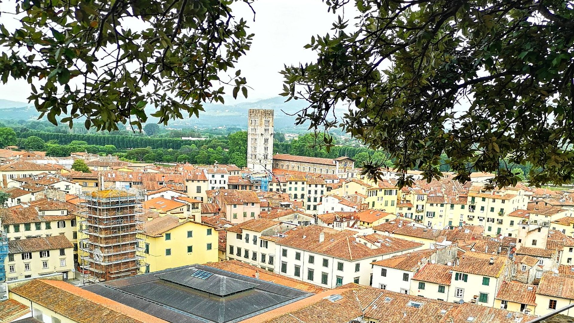 panorama di lucca dalla terrazza di torre guinigi