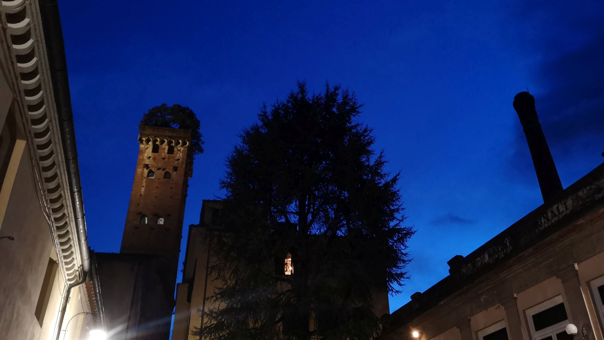 profilo di torre guinigi di notte