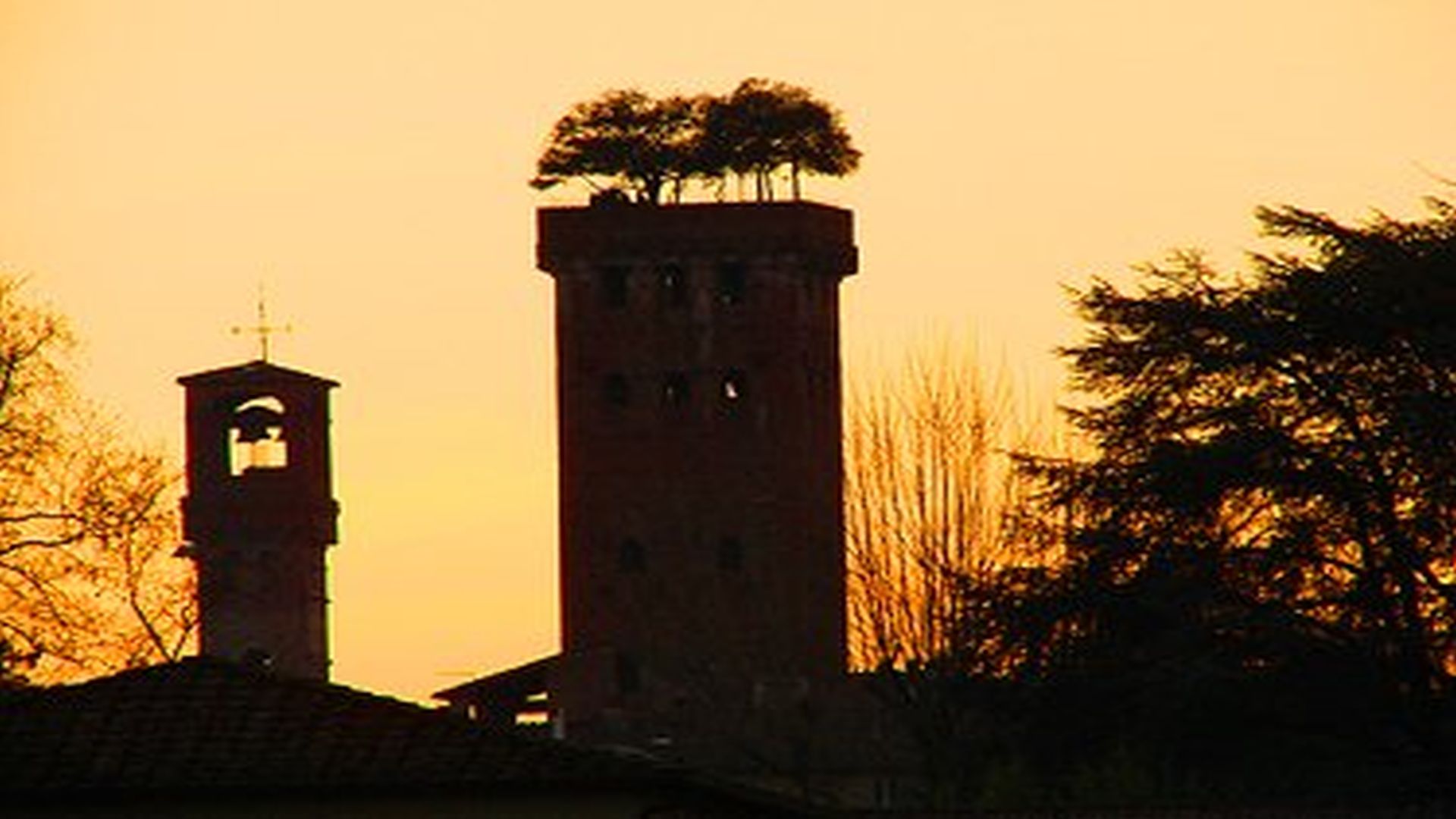 perfil de la torre guinigi y las horas de lucca