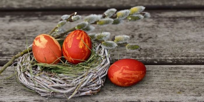 Pasqua con i tuoi! idee per pasqua e pasquetta 2020 a Lucca